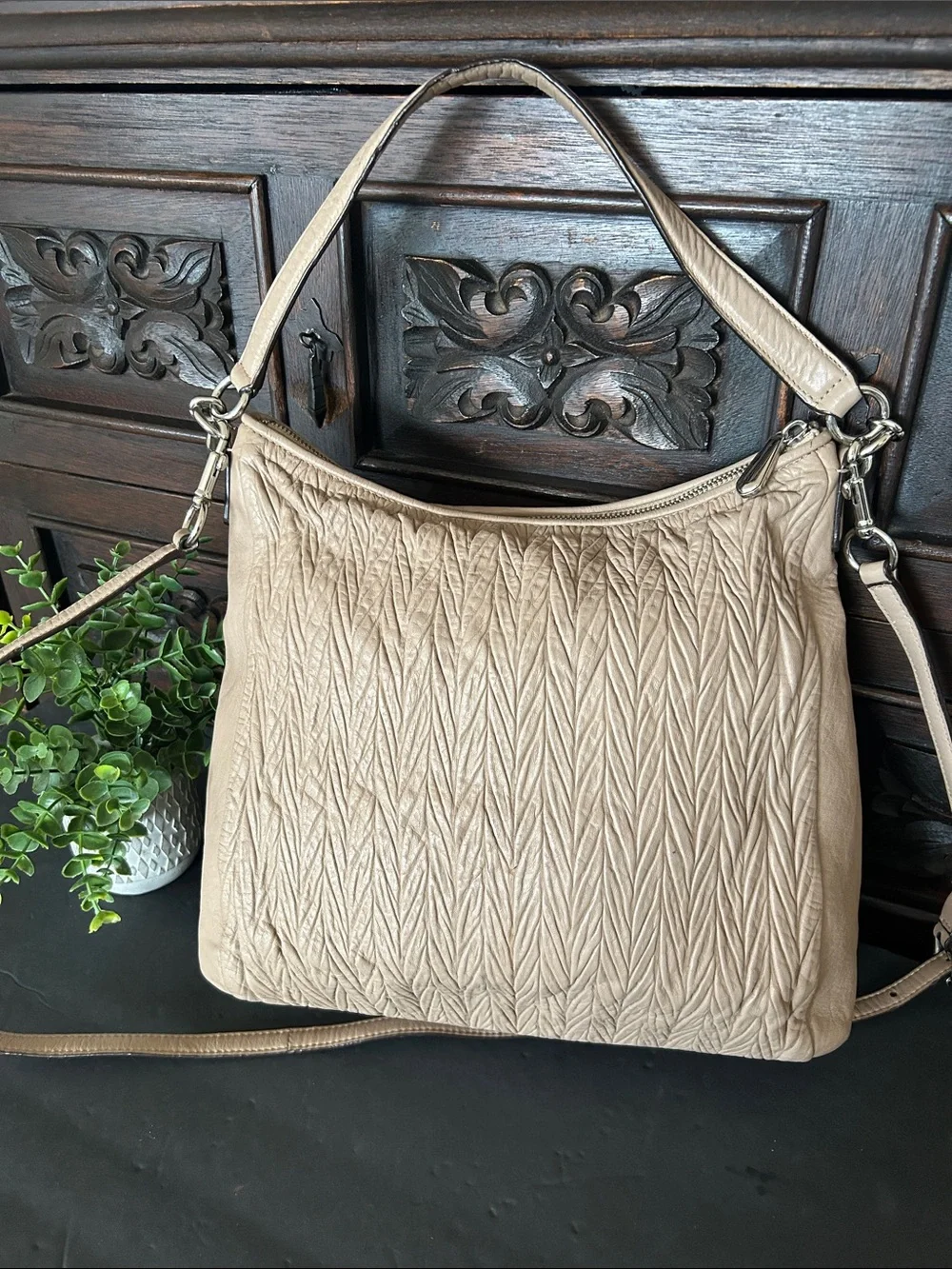 Coach soft cream